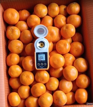 김행복님의 작성글 사진