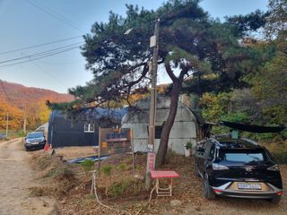 이영호님의 자유주제 · 사진전 작성글 사진