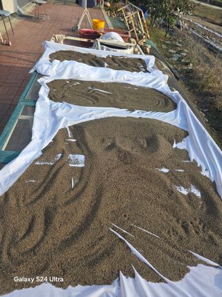 소병찬님의 농사를 망친 작은 실수들 · 참여글 작성글 사진