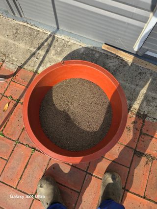 소병찬님의 농사를 망친 작은 실수들 · 참여글 작성글 사진