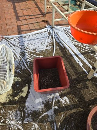 소병찬님의 농사를 망친 작은 실수들 · 참여글 작성글 사진