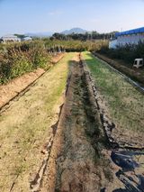 팜모닝 자유주제·자유게시판 게시글 이미지