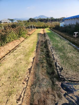 최승일님의 자유주제 · 자유게시판 작성글 사진