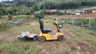 권리를위한투쟁님의 자유주제 · 자유게시판 작성글 사진