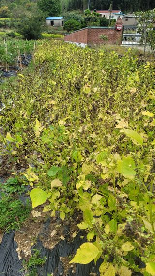 권리를위한투쟁님의 자유주제 · 자유게시판 작성글 사진