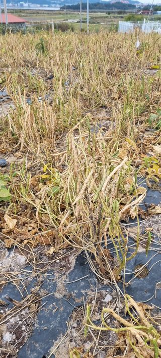 박순덕님의 자유주제 · 자유게시판 작성글 사진