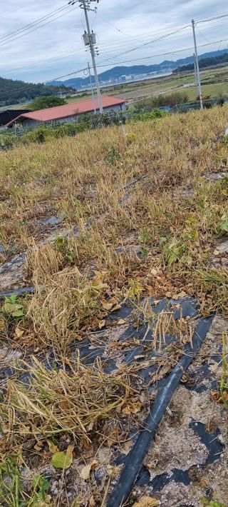 박순덕님의 자유주제 · 자유게시판 작성글 사진