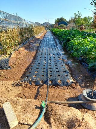 최성님의 작성글 사진