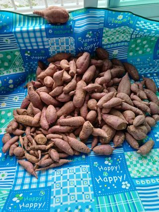 최성님의 작성글 사진