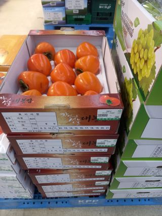 서애 기원님의 감 · 영농일지 작성글 사진