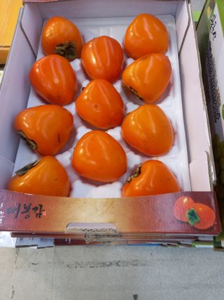 서애 기원님의 감 · 영농일지 작성글 사진