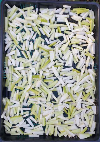 강윤원 보림팜(주)님의 자유주제 · 사진전 작성글 사진