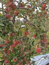 팜모닝 자유주제·자유게시판 게시글 이미지