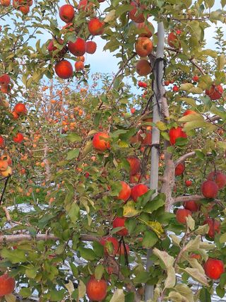 최승국님의 자유주제 · 자유게시판 작성글 사진