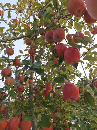 최승국님의 자유주제 · 자유게시판 작성글 사진