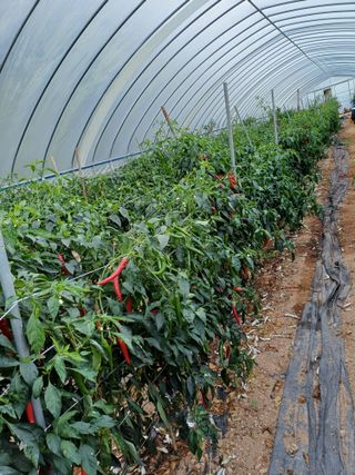 해아래님의 작성글 사진