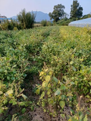 해아래님의 작성글 사진