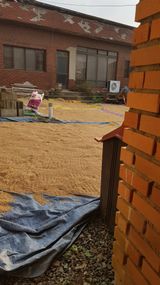 팜모닝 벼·영농일지 게시글 이미지