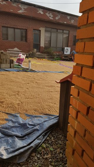 0104436291님의 벼 · 영농일지 작성글 사진