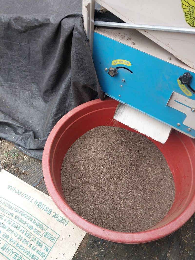 장터 상품 [들깨] 썸네일