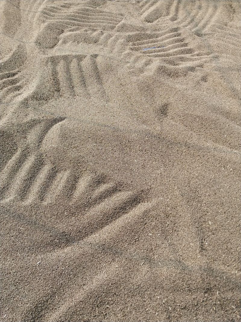 류남열님의 장터 판매 상품 [들깨] 첨부 사진