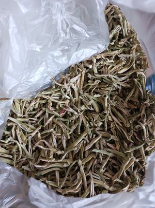 들국화님의 기타작물 · 자유게시판 작성글 사진