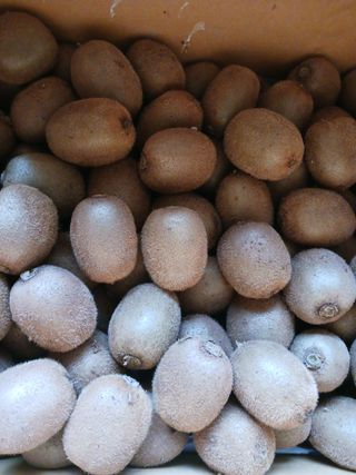 들국화님의 기타작물 · 자유게시판 작성글 사진