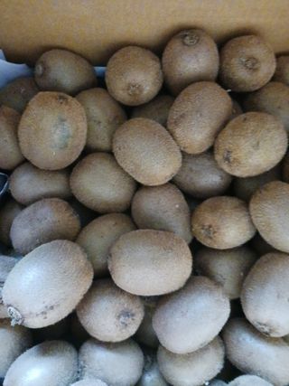 들국화님의 기타작물 · 자유게시판 작성글 사진