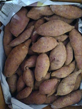 들국화님의 기타작물 · 자유게시판 작성글 사진