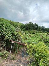 팜모닝 기타작물·자유게시판 게시글 이미지