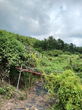 들국화님의 기타작물 · 자유게시판 작성글 사진