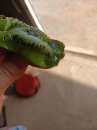 들국화님의 기타작물 · 자유게시판 작성글 사진