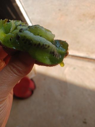 들국화님의 기타작물 · 자유게시판 작성글 사진