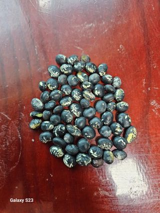 흥부네땅님의 자유주제 · 자유게시판 작성글 사진