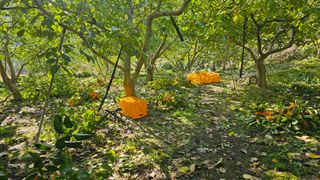 늘푸른농장님의 자유주제 · 자유게시판 작성글 사진