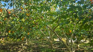 늘푸른농장님의 자유주제 · 자유게시판 작성글 사진