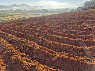 알 수 없음님의 자유주제 · 자유게시판 작성글 사진