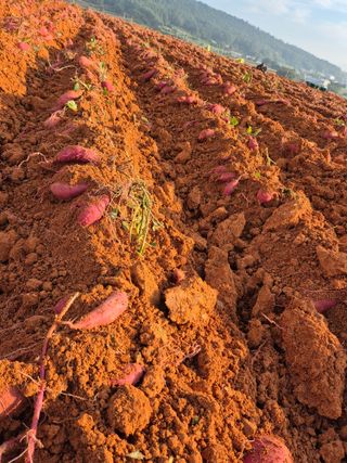 알 수 없음님의 자유주제 · 자유게시판 작성글 사진