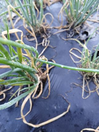 장광열님의 자유주제 · 자유게시판 작성글 사진