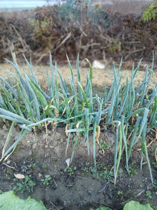 장광열님의 자유주제 · 자유게시판 작성글 사진