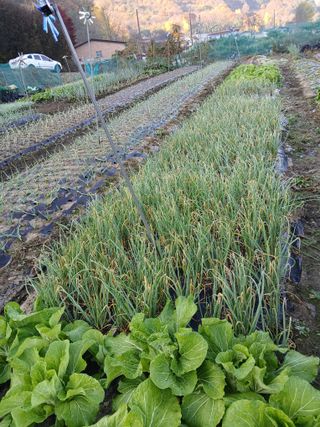 장광열님의 자유주제 · 자유게시판 작성글 사진