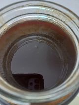 팜모닝 자유주제·자유게시판 게시글 이미지