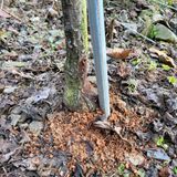 팜모닝 자유주제·자유게시판 게시글 이미지