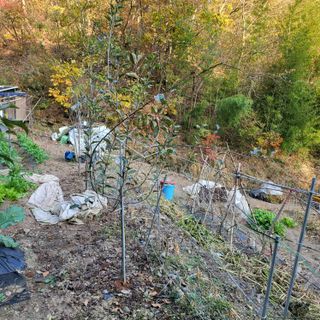 오케바리(옥경종)님의 자유주제 · 자유게시판 작성글 사진