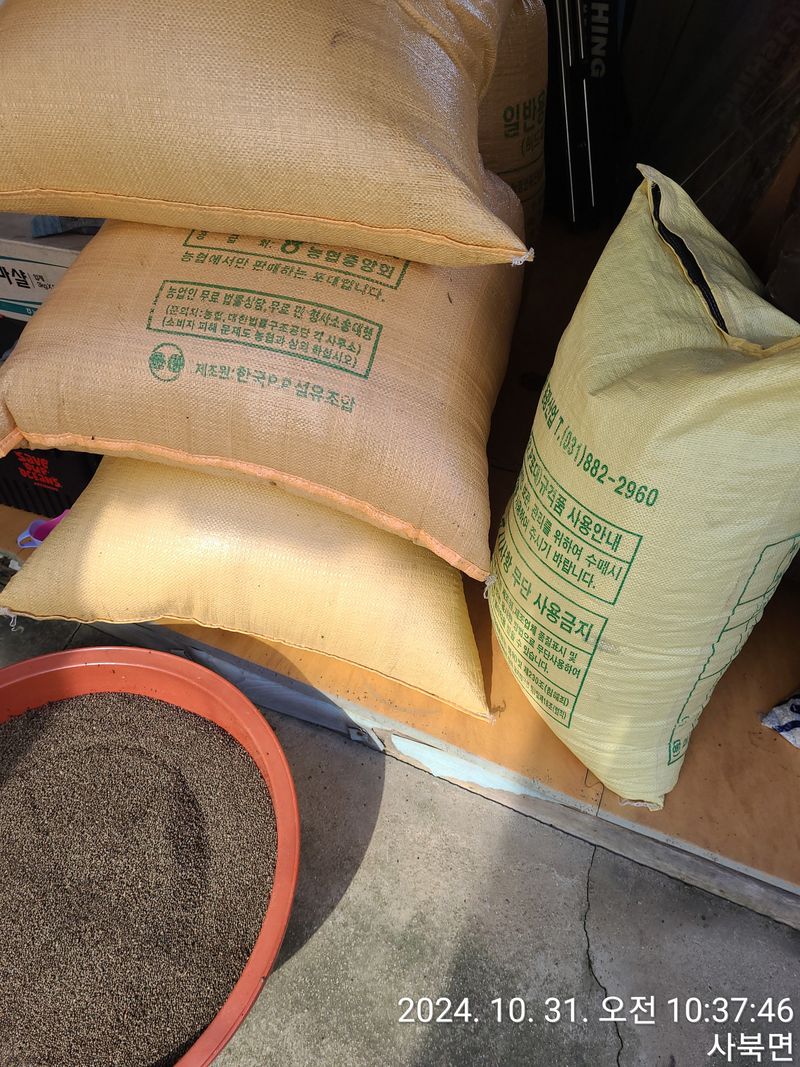 윤인석님의 장터 판매 상품 [24년 햇들깨 ] 첨부 사진