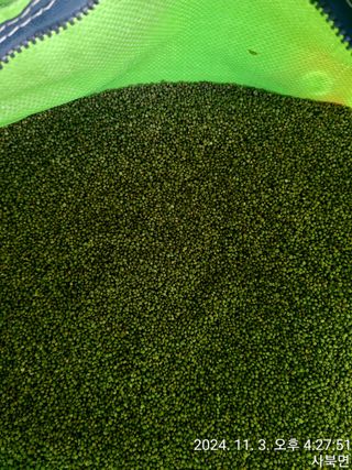 윤인석님의 작성글 사진