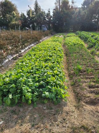 찬균park님의 자유주제 · 자유게시판 작성글 사진