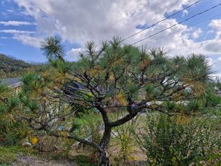 청도군님의 자유주제 · 자유게시판 작성글 사진