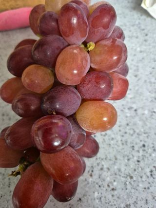 박희철님의 자유주제 · 자유게시판 작성글 사진