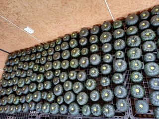 현순호님의 자유주제 · 자유게시판 작성글 사진